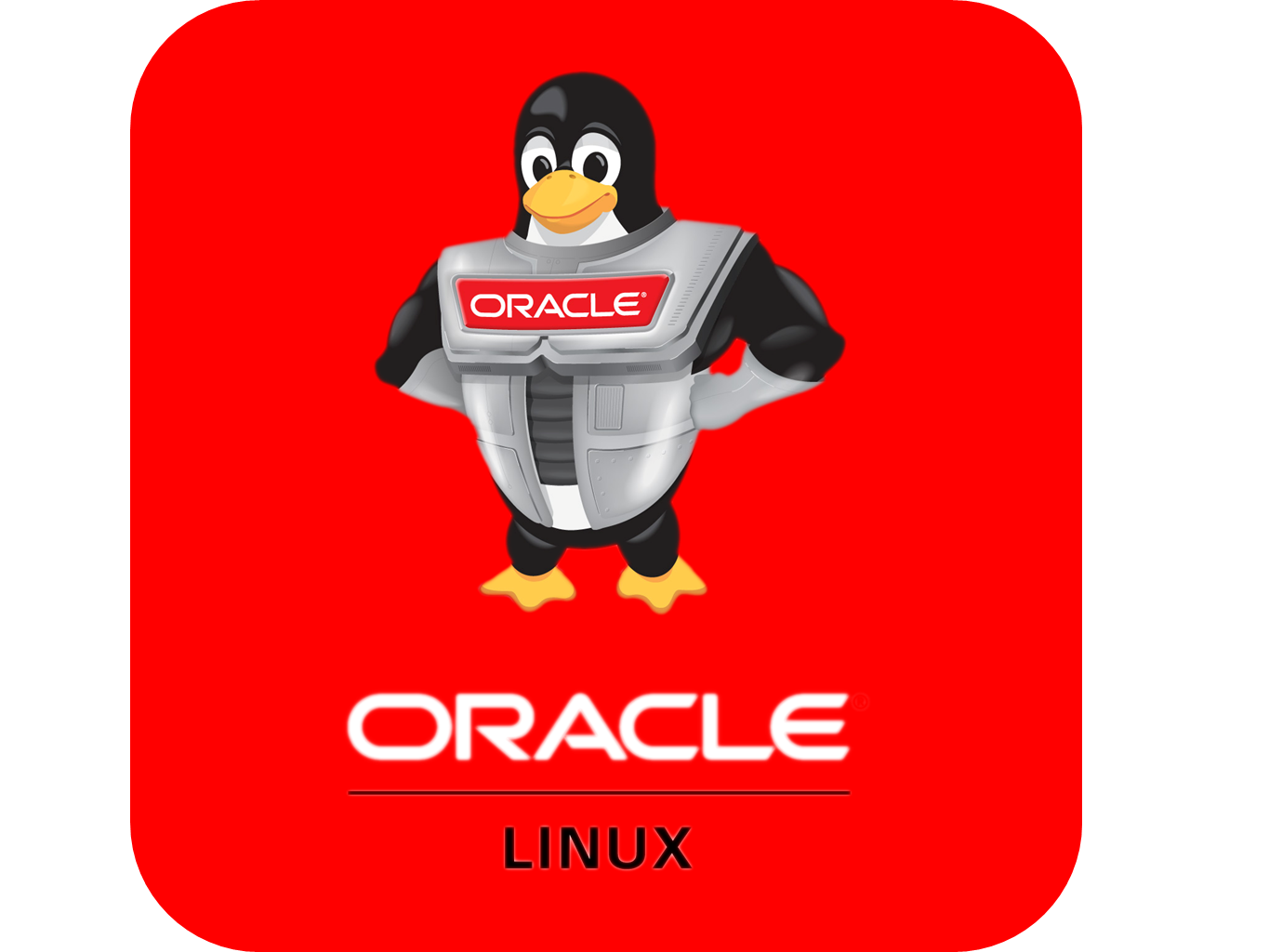 Oracle数据泵备份